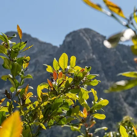 Xesca * Soller